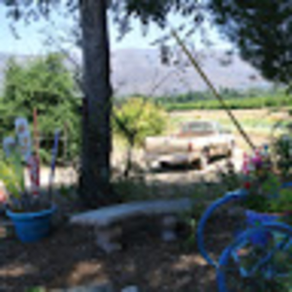 Meet your Posher, Alessandra